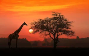 Best Places to Travel in Your 20s on a Budget